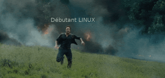 fuire kali linux