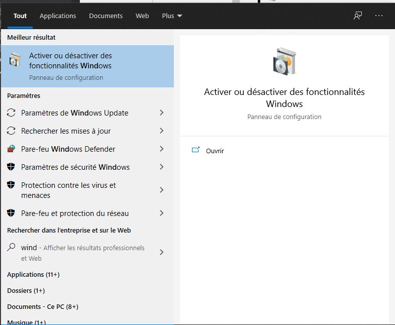 Activer fonctionnalités windows