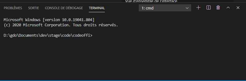 terminal