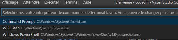 wsl bash